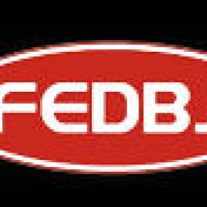 福建福尔德汽车零部件有限公司-logo