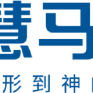 广州市慧马品牌策划有限公司-logo