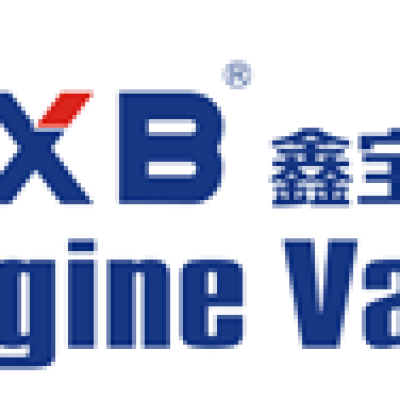 温州鑫宝汽车配件有限公司-logo