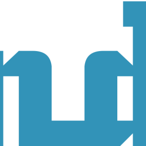 玉环市衡迪汽车零部件有限公司-logo