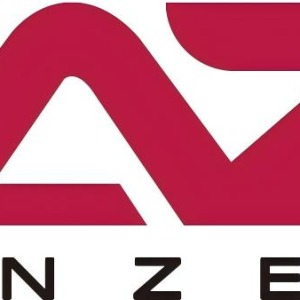 浙江安正汽车零部件有限公司-logo