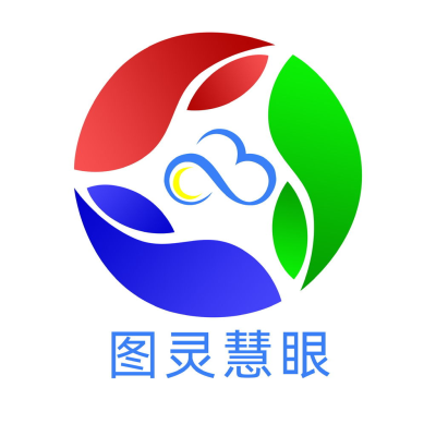 苏州图灵慧眼科技有限公司-logo