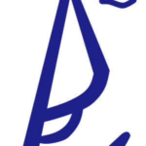 上海宝舟电器有限公司-logo