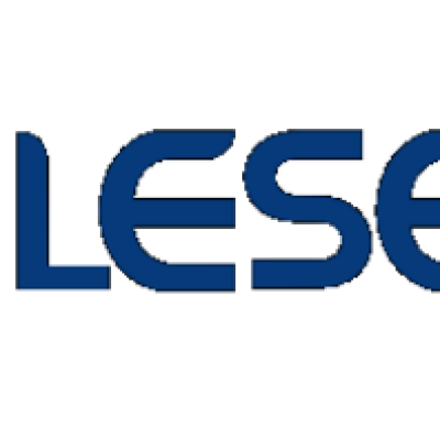 安徽勒森传感科技有限公司-logo