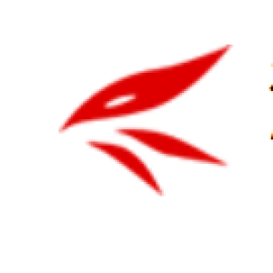 河北双亚汽车零部件有限公司-logo