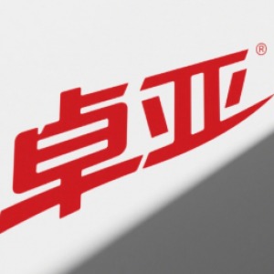 诸暨市卓亚汽车零部件有限公司-logo
