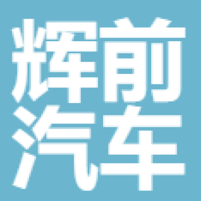 蠡县辉前汽车清洁用品有限公司-logo